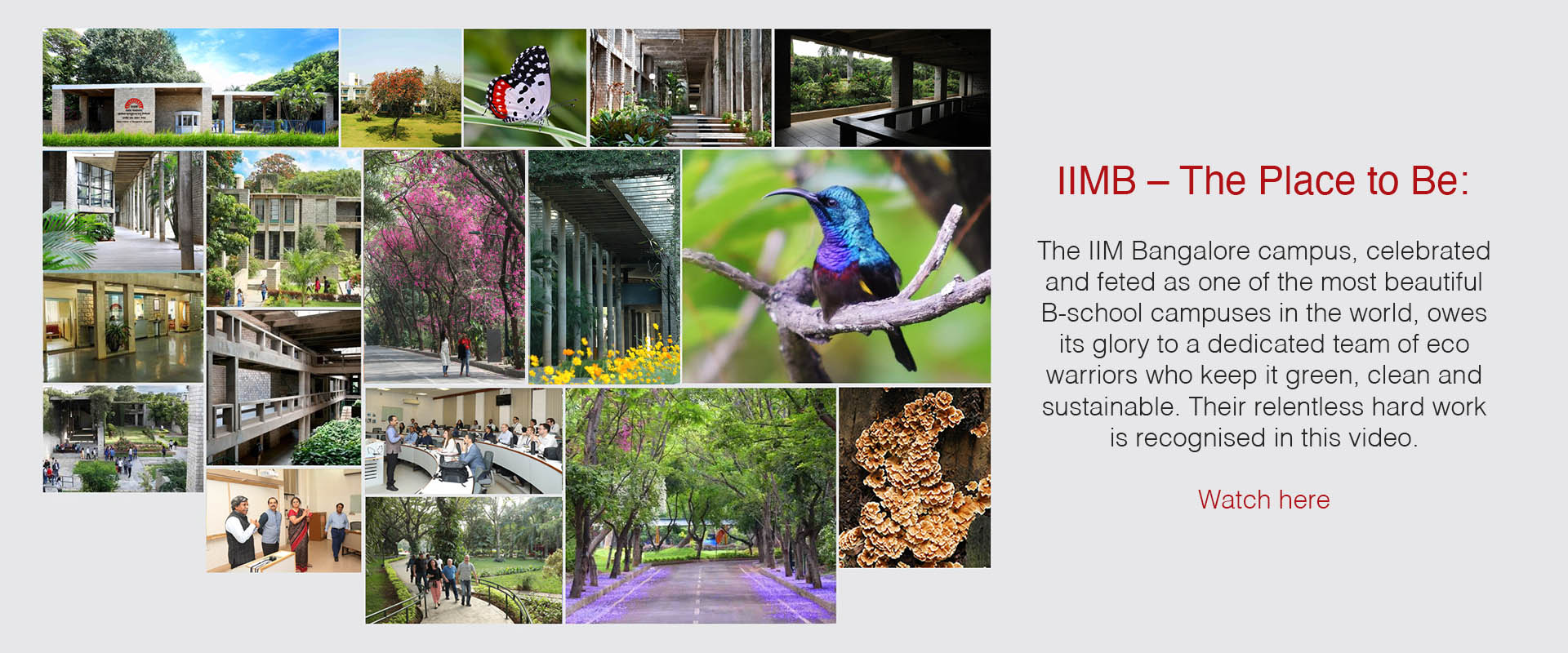 IIMB