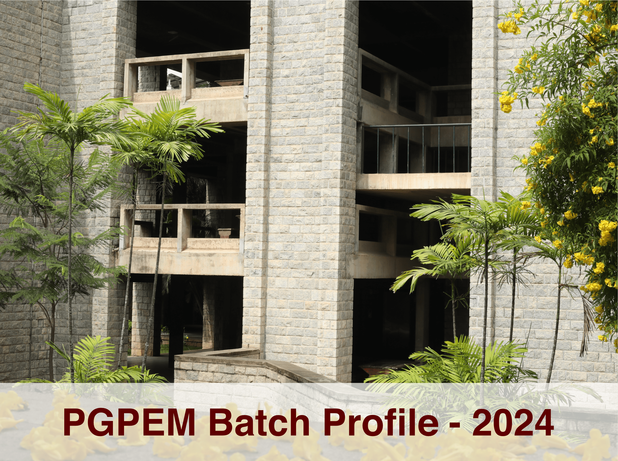PGPEM 2024 Batch Profile